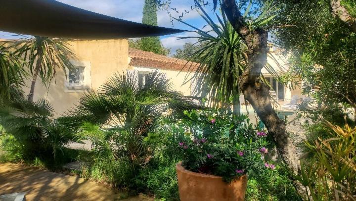 Le Clos Olives Comps  Dış mekan fotoğraf