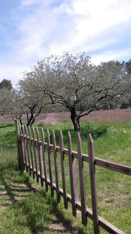 Le Clos Olives Comps  Dış mekan fotoğraf